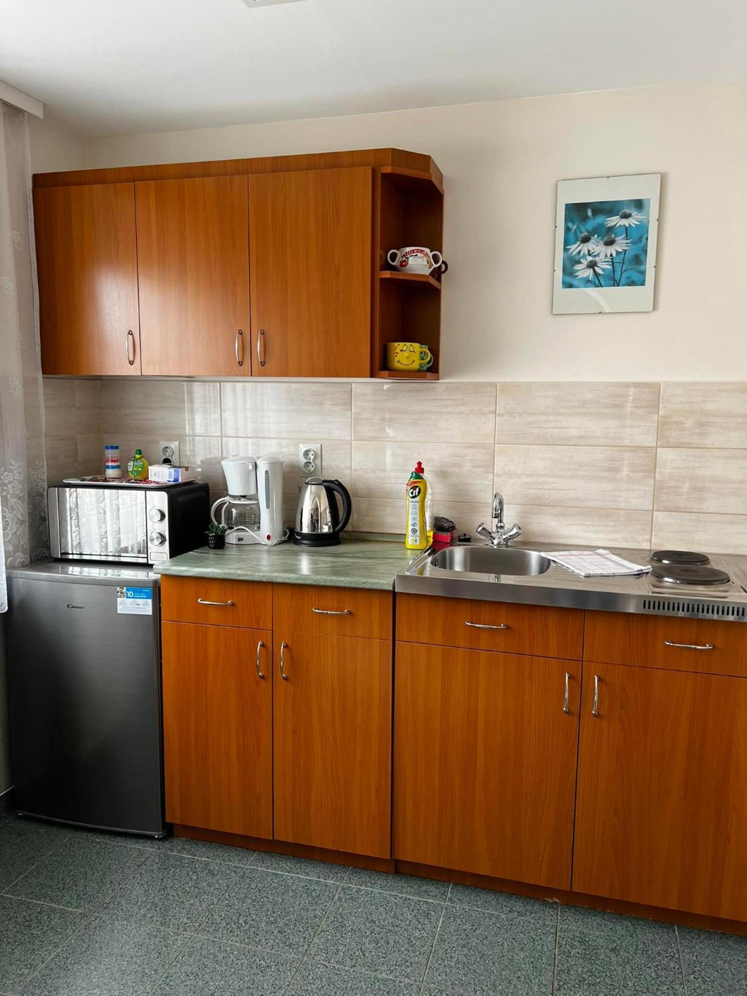 Apartment Revesz Harkany Ngoại thất bức ảnh